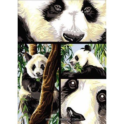 Clichés de pandas canevas - SEG