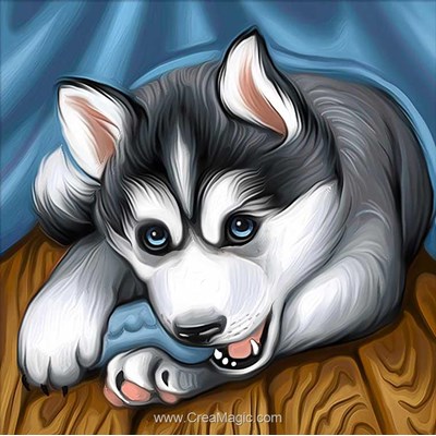 Broderie diamant husky de Diamond Painting