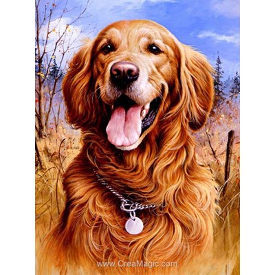 Kit broderie diamant golden retriever de Diamond Painting