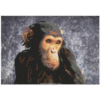 Le chimpanzé la broderie - Marie Coeur
