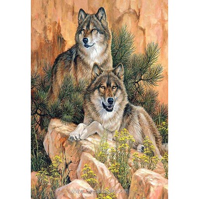 Kit broderie diamant couple de loups de Diamond Painting