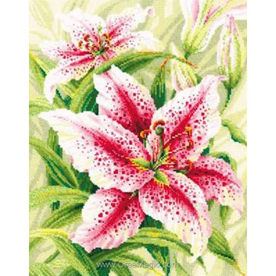 Broderie Fleurs et Plantes - Lilies - RIOLIS