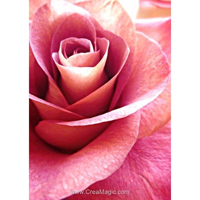 Broderie diamant Wizardi pink rose