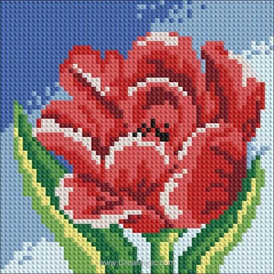 Broderie diamant red tulip de Diamond Painting
