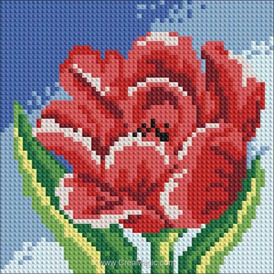 Broderie diamant red tulip de Diamond Painting