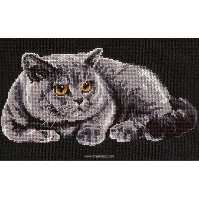 Riolis - Kit Broderie Point De Croix "Chat à La Machine à Coudre" - Multicolore - Loisir Créatif Et Décoratif
