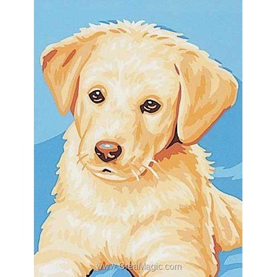 Kit canevas pour débutant le chiot labrador beige de Royal Paris