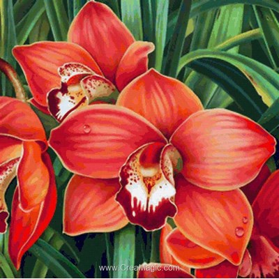 Kit broderie diamant orchidées rouge de Diamond Painting