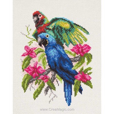 Kit broderie imprimée aida perroquets parrots de Collection d'art