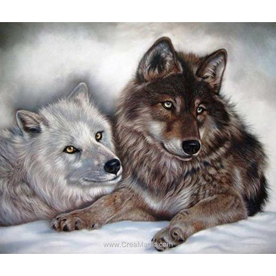 Broderie diamant Diamond Painting loups bicolor