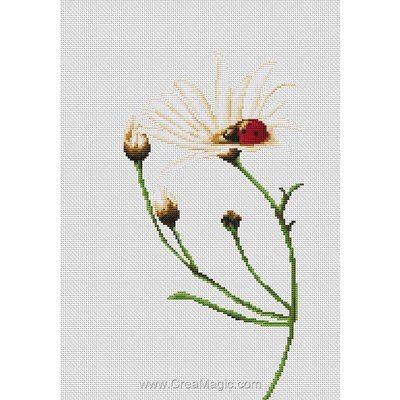 Coccinelle et marguerite broderie au point de croix - Luca-S