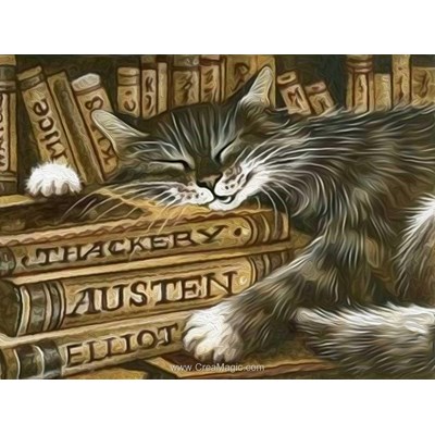 Kit broderie diamant librarian cat - Diamond Painting