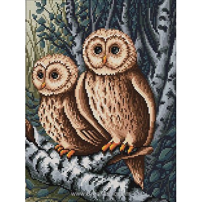 Broderie diamant Diamond Painting owls