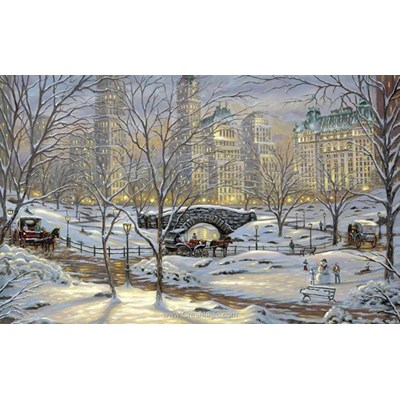 Kit broderie diamant winter in new york - Diamond Painting