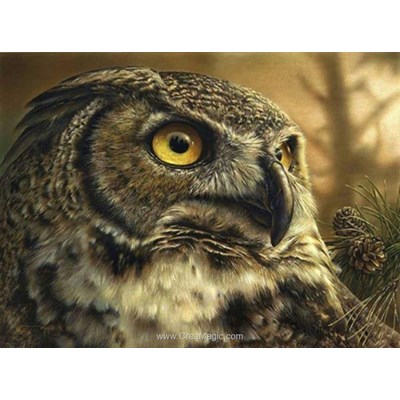 Kit broderie diamant owl - Diamond Painting