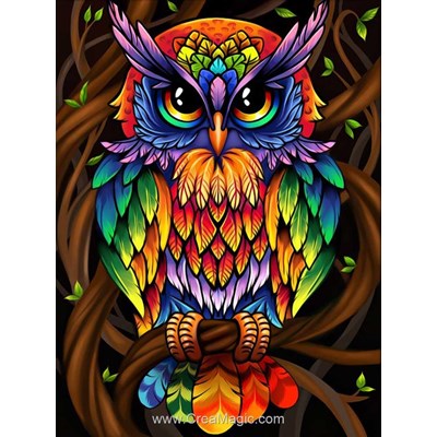 Kit broderie diamant hibou multicolor - Diamond Painting