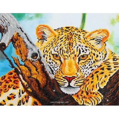 Broderie diamant - Le regard du leopard - Diamond Dotz