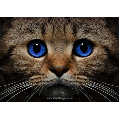 Broderie diamant Collection d'art le chat aux yeux bleus