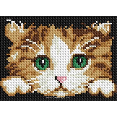 Broderie diamant kitten de Diamond Painting