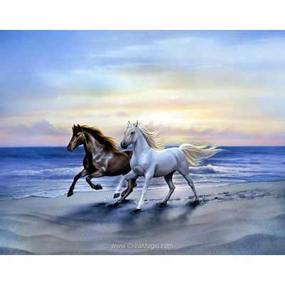 Kit broderie diamant Collection d'art chevaux arabes au galop