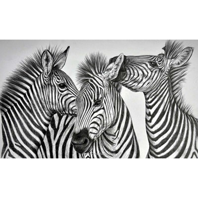 Kit broderie diamant Diamond Painting zebras