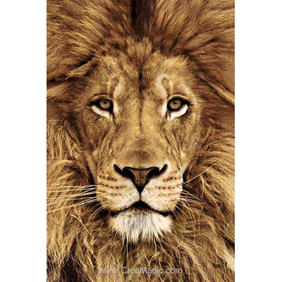 Kit broderie diamant Wizardi lion