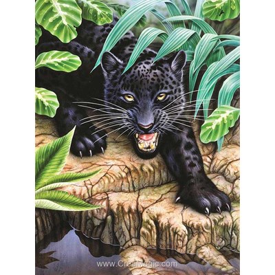 Kit broderie diamant Diamond Painting black panther