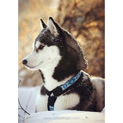 Broderie diamant Collection d'art husky neige