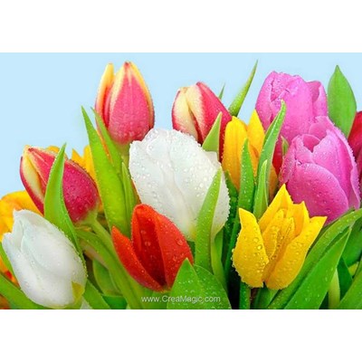 Kit broderie diamant rosée sur les tulipes de Collection d'art