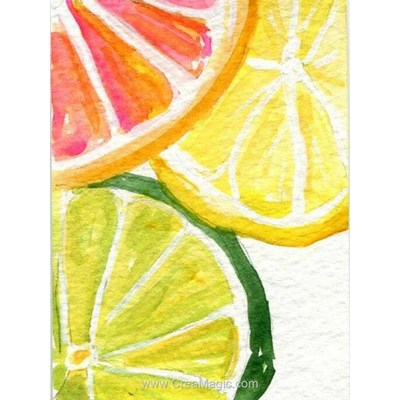 Broderie diamant citrus fresh - Wizardi