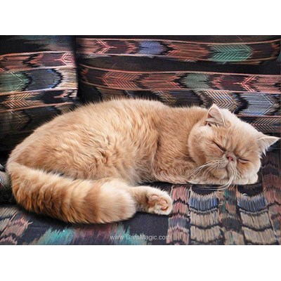 Broderie diamant chat persan - Diamond Painting