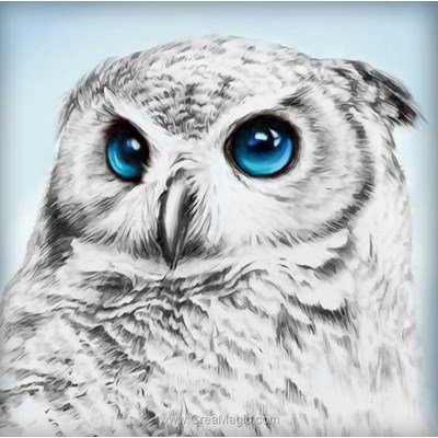 Kit broderie diamant owl sight de Diamond Painting