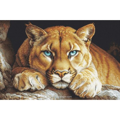 Broderie Animaux Sauvages - The wild spirit - Luca-S