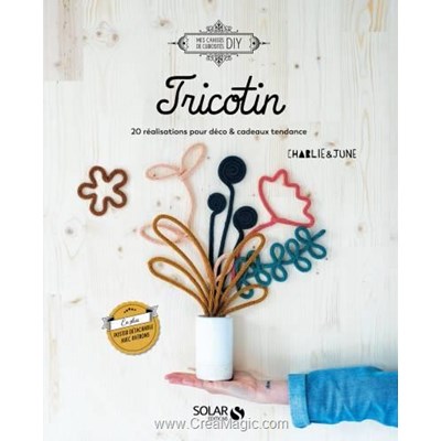 Livre Tricotin - 20 realisations pour deco & cadeaux tendance - Librairie Créative