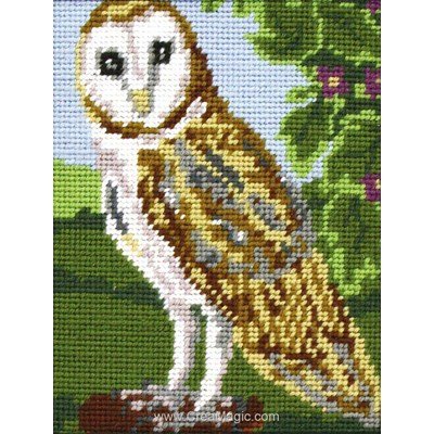 Kit canevas Owl - Anchor