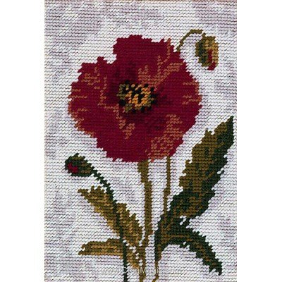 Kit canevas Poppy - Anchor