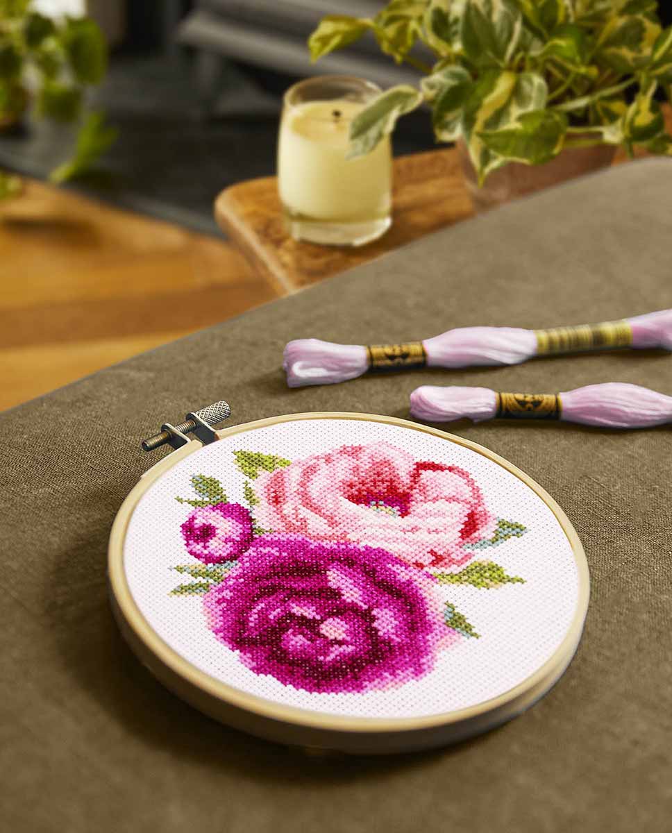 Modele broderieau point compte sur aida