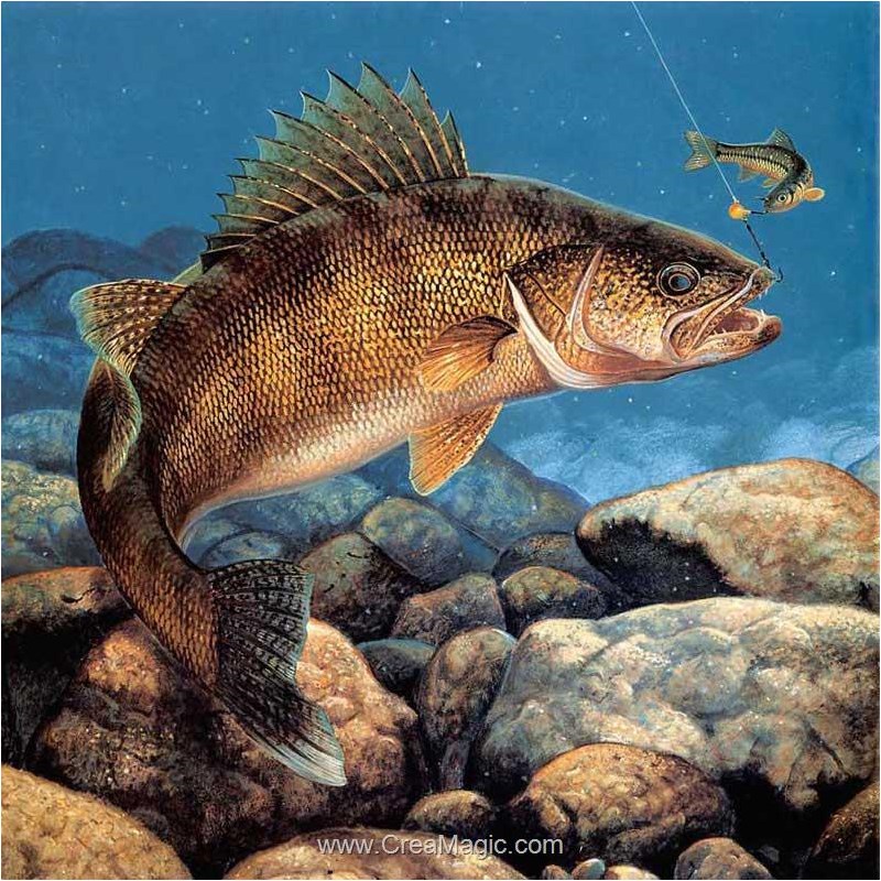 5D Diamond Painting Complet Poisson,Broderie Peinture Diamant