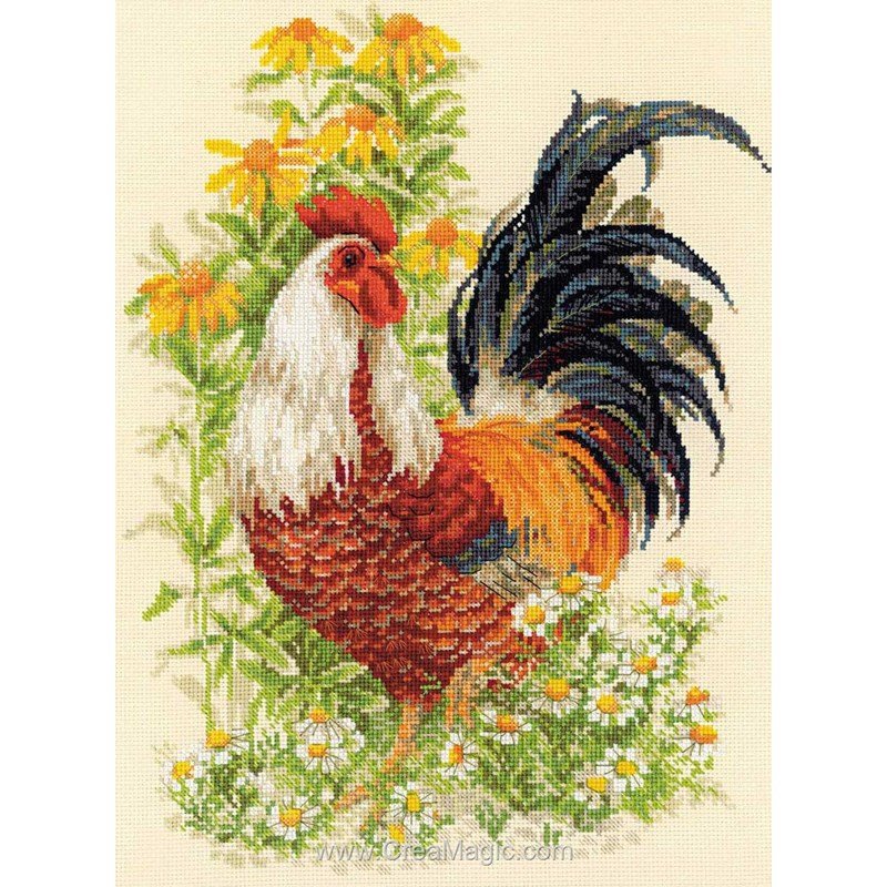 Kit Point De Croix DIY - Coq Coloré, 30x40 Cm, Broderie Paysage Pour Débutants & Confirmés