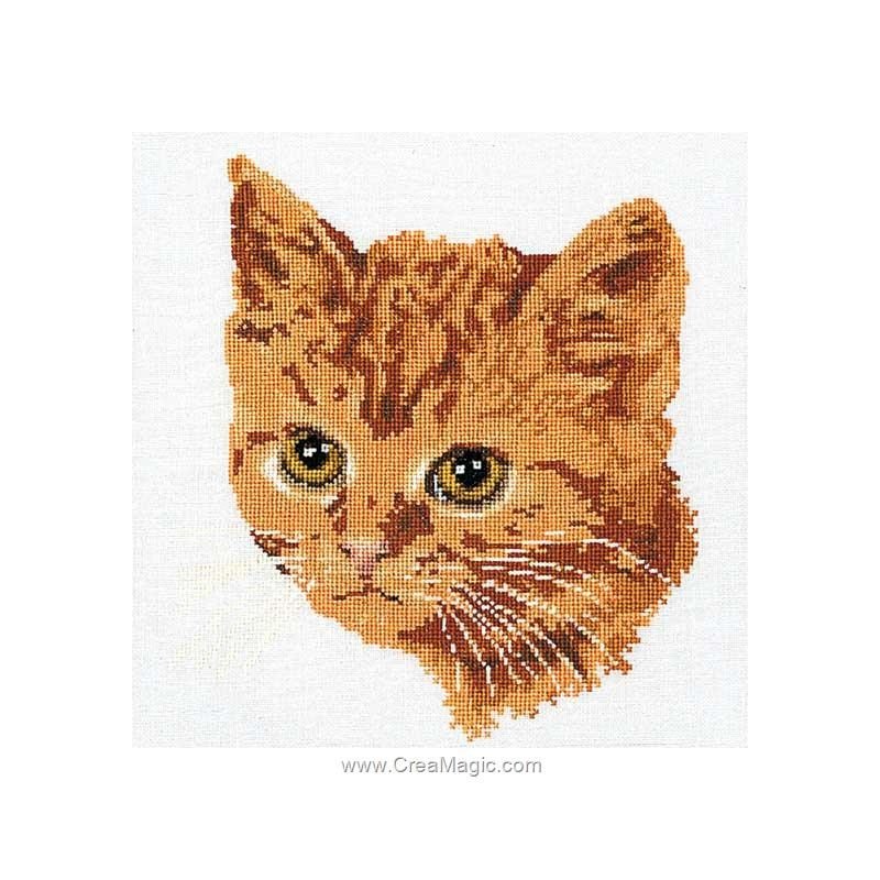 Broderie Point Compte Chat Roux Sur Lin Thea Gouverneur Broderie Point Compte Chat Roux Sur Lin Thea Gouverneur