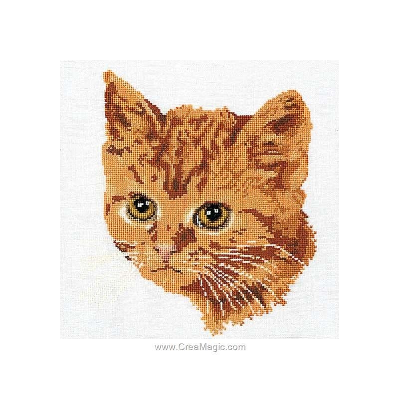 Broderie Point Compte Chat Roux Sur Lin Thea Gouverneur