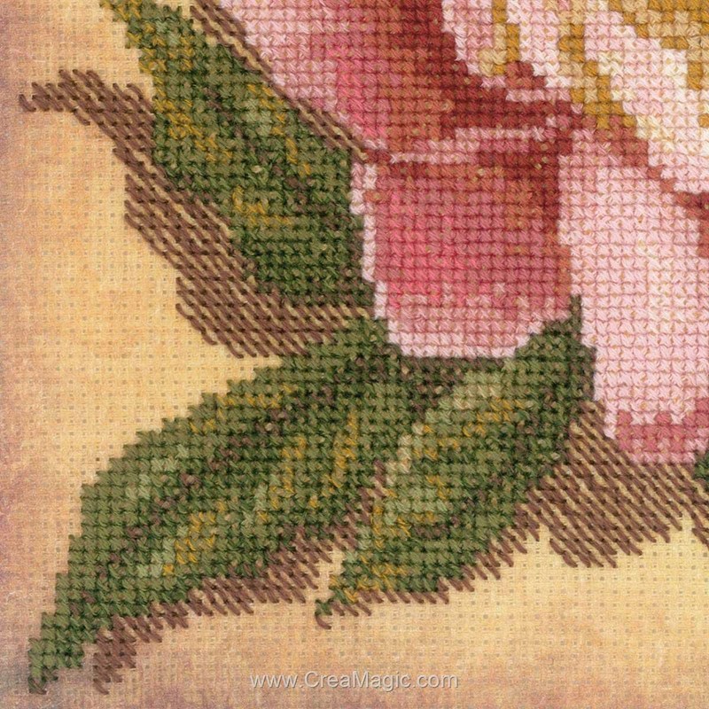 Kit Broderie Point De Croix Riolis 0078 PT - Coton Anchor - Taille Finie 40x30 Cm - Modèle Multicolore Avec Canevas AIDA Imprimé