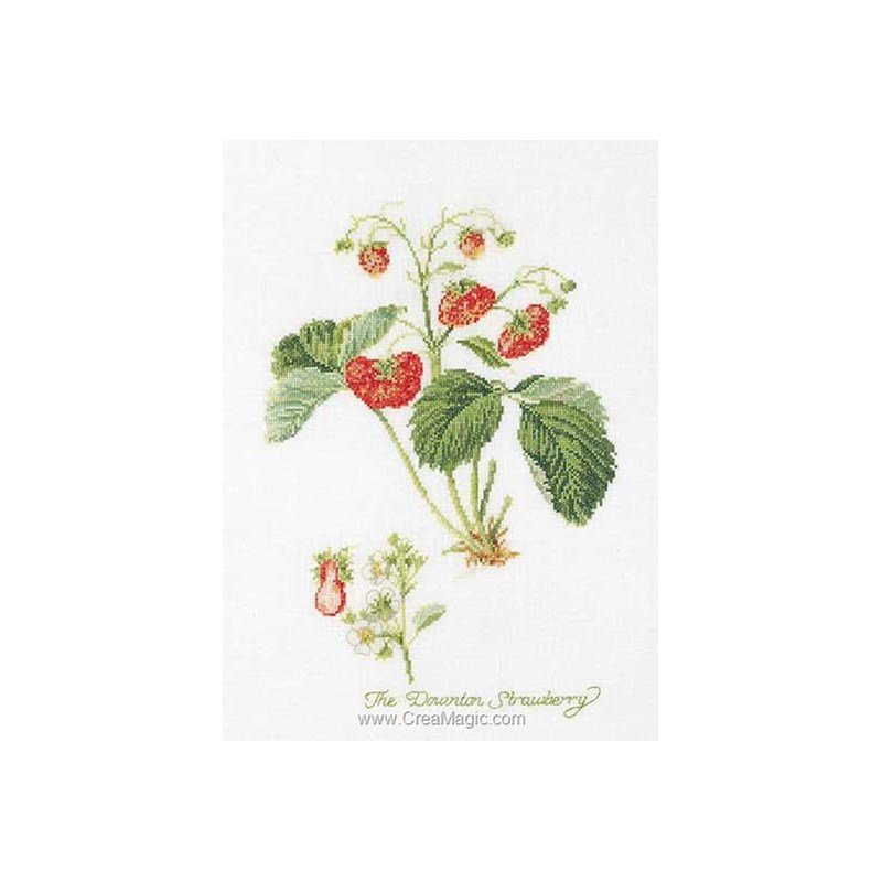 broderie point de croix thea gouverneur les fraises sur lin tg 2085