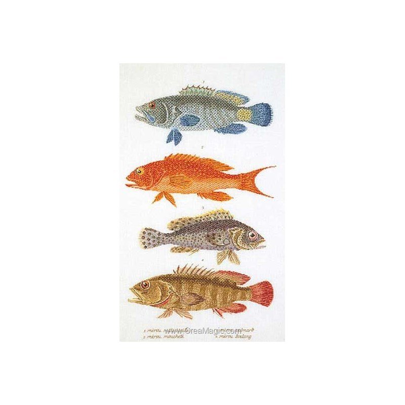 Patron Point De Croix Poissons Tropicaux + Aïda Et Fils Dentelle - Lot Occasion Pour Brodeuse